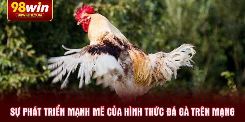 Sự phát triển mạnh mẽ của hình thức đá gà trên mạng